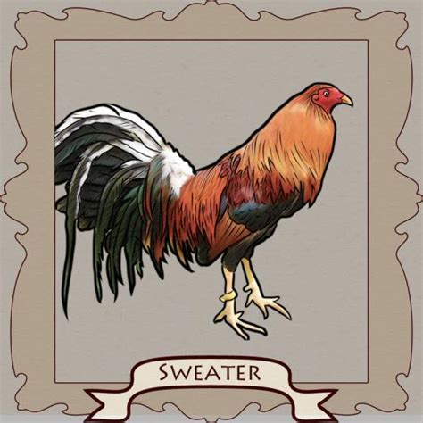 The Fighting Sweater: The Toughest Gamefowl Brawler that made Cha.